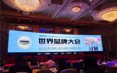 cq9电子官网入口品牌一连11年入选《中国500最具价值品牌排行榜》